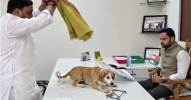 निफाड नगरपंचायत कार्यालयात मोकाट कुत्रे आणून करण्यात आलेले आंदोलन